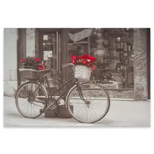 Produkt Divero Nástěnná malba kolo s vánoční hvězdou, 40 x 60 cm