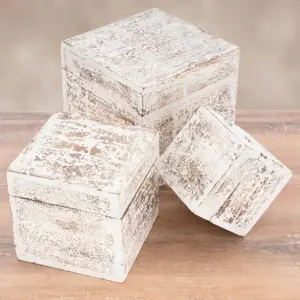 Garthen Sada dřevěných vintage boxů bílé D73017