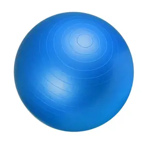 Produkt Gorilla Sports Gymnastický míč, 55 cm, modrý