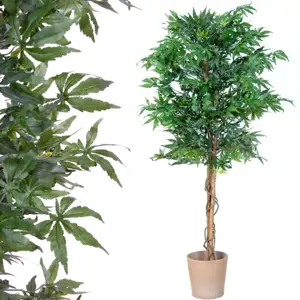 Produkt PLANTASIA 1401 Umělá rostlina strom - konopí - 150 cm