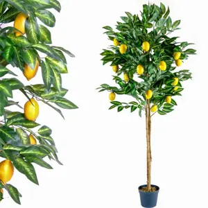 Produkt PLANTASIA 1408 Umělá květina strom - citronovník - 184 cm