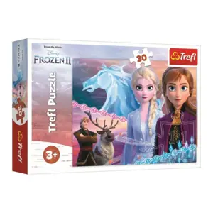 Produkt Puzzle Ledové království II/Frozen II 30 dílků 27x20cm v krabici 21x14x4cm