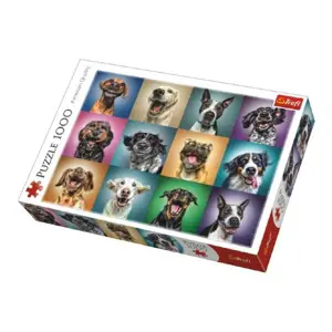 Produkt Puzzle Legrační psí portréty 1000 dílků 68,3x48cm v krabici 40x27x6cm