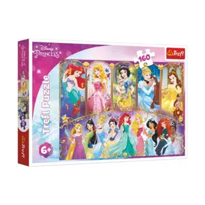 Produkt Puzzle Portréty princezen Disney 41x27,5cm 160 dílků v krabici 29x19x4cm