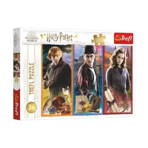 Produkt Puzzle Ve světě magie a čarodějnictví/Harry Potter 200 dílků 48x34cm v krabici 33x23x4cm