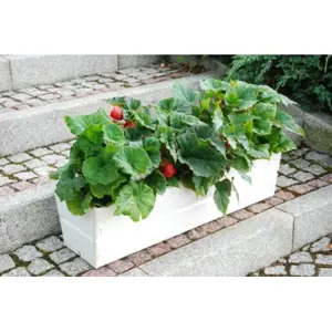 Produkt Rojaplast 2686 Dřevěný truhlík na květiny - 44 cm, bílý