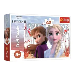 Produkt Trefl Ledové království 2: Kouzelný svět Anny a Elsy 60 dílků